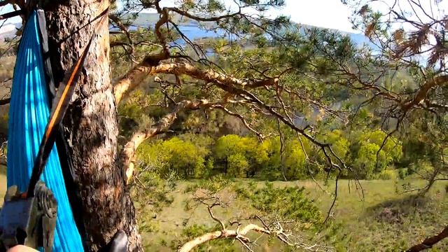 САМЫЙ ВЫСОКИЙ Гамак на дереве! #besoёbTV смотреть онлайн