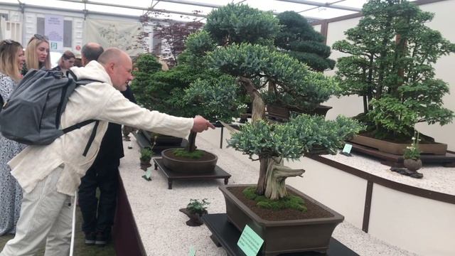 2019 RHS Chelsea Flower Show, Часть 4! (#LANDSCAPE) Highlights 2019! смотреть онлайн