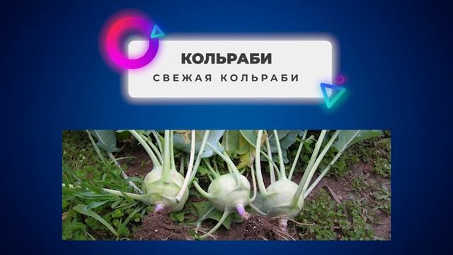 Род несклоняемых имён существительных. смотреть онлайн