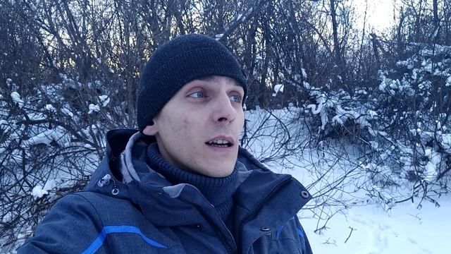 Охранные собаки. Цепь или вольер ?. Заблуждения и практика . Жизнь за городом смотреть онлайн