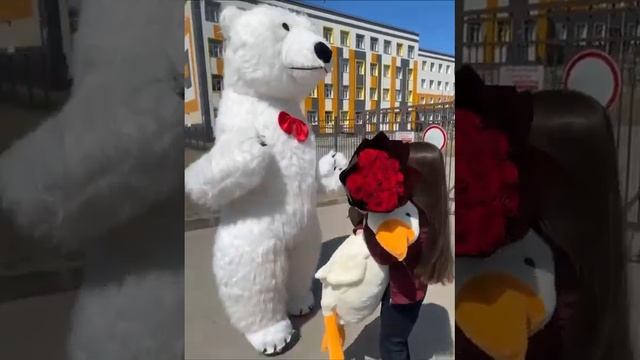 Поздравление белого мишки смотреть онлайн
