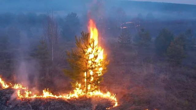 2021_04_11. Горит поле смотреть онлайн