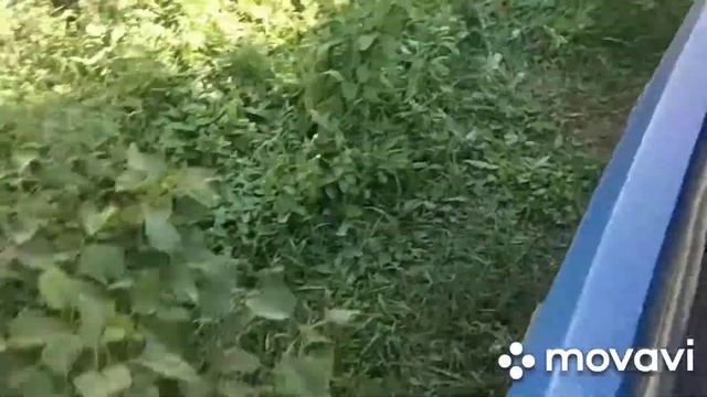 Установка расширительного бочка ВАЗ 2107 карбюратор смотреть онлайн