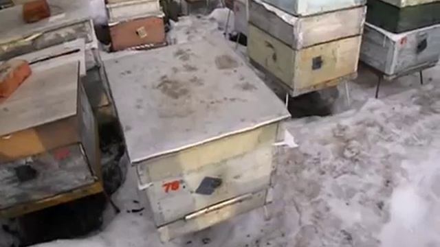 работа с пчелами в марте - утепление , поилка, питание пчел