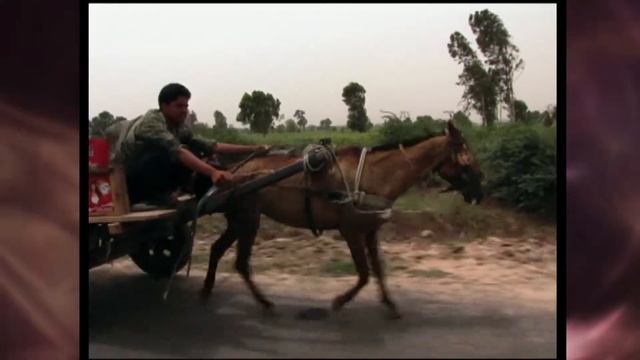 Coke India смотреть онлайн