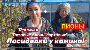 Посиделки у камина. Часть 17. Нежные розовые пионы / Сад Ворошиловой