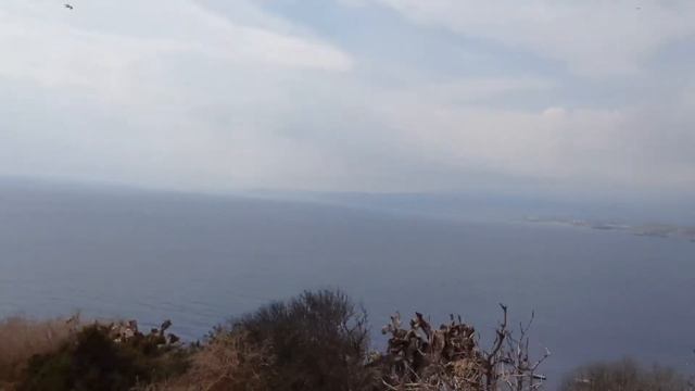 Моя Испания! смотреть онлайн