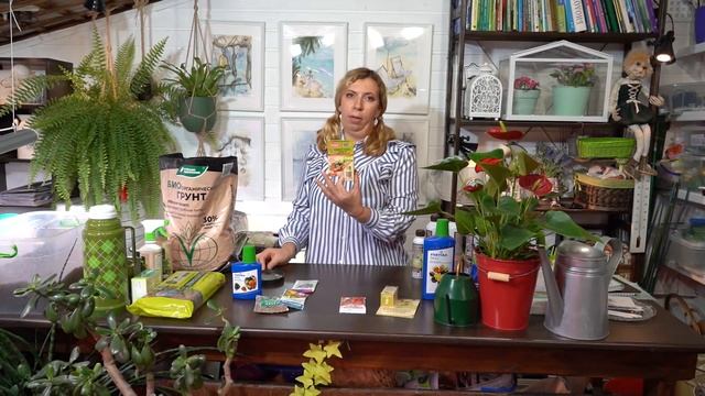 Лучший способ подкормки рассады смотреть онлайн