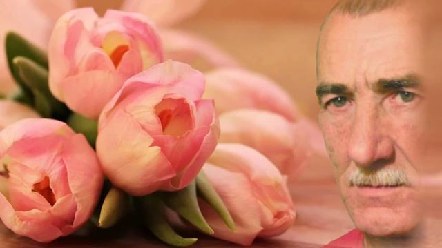 Тюльпаны.... смотреть онлайн