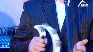 группа Домбай Легенда о Теберде