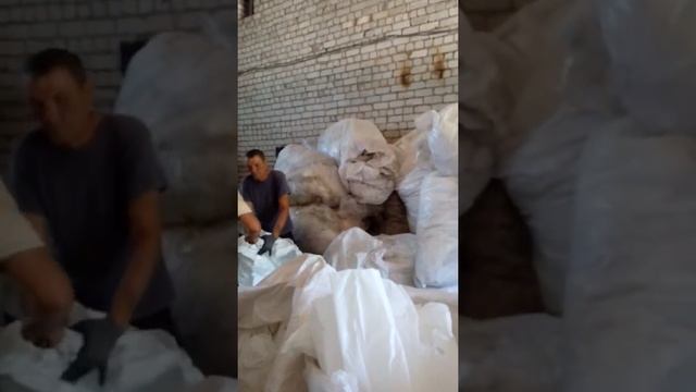 Ультилизацыя клеенки и канистер з гербецыда смотреть онлайн