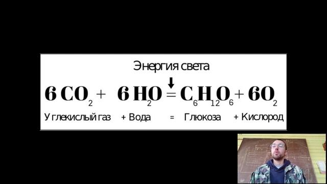 Учим Делать С Любовью