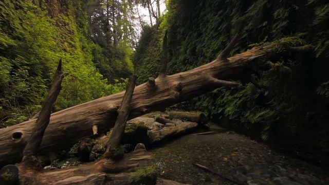 5 способов стать более уверенным смотреть онлайн