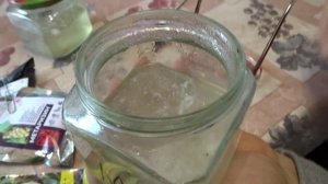 ОПЫТ Г.Ф. РАСПОПОВА ПО РАЗМНОЖЕНИЮ ЧИСТЫХ КУЛЬТУР ПОЛЕЗНЫХ МИКРОБОВ И ГРИБОВ.