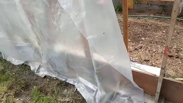 Конденсат в плёнке теплицы смотреть онлайн