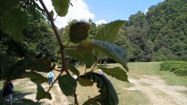 Сочи.Хоста.Ольховое озеро.