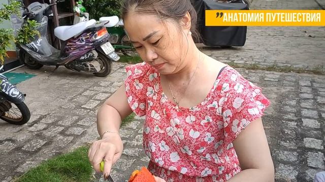Каша из Яйца Дракона. Готовим фрукт, который нельзя есть сырым, с рисом, который вовсе не рис смотреть онлайн