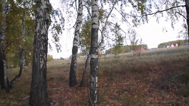 какая у нас власть смотреть онлайн