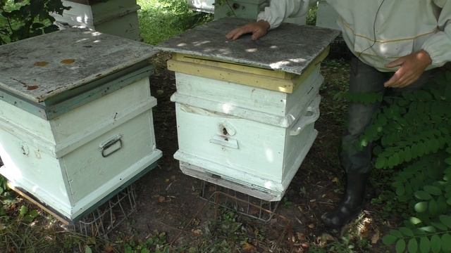 БЫСТРО ОБЪЕДИНИТЬ смотреть онлайн