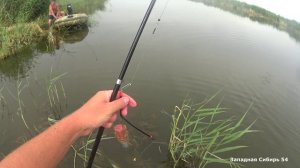 Рыбалка на спиннинги и кастинговую сеть в диких сибирских ручьях на сазана