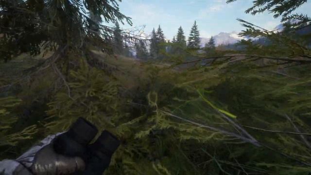 The Hunter Call of The Wild VS Hunting Simulator 2 + Mini Lodge Tour + Channel Update + Bow Hunt! смотреть онлайн