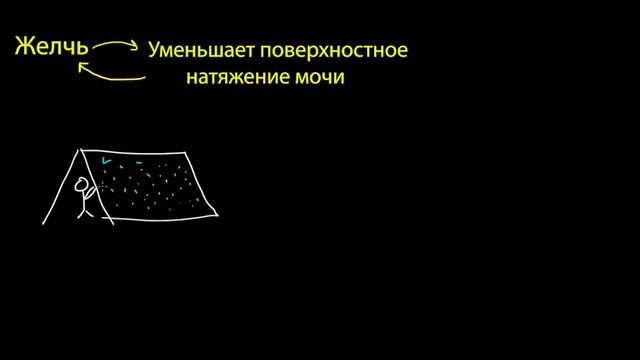 Поверхностное натяжение и адгезия (видео 17) | Жидкости | Физика смотреть онлайн