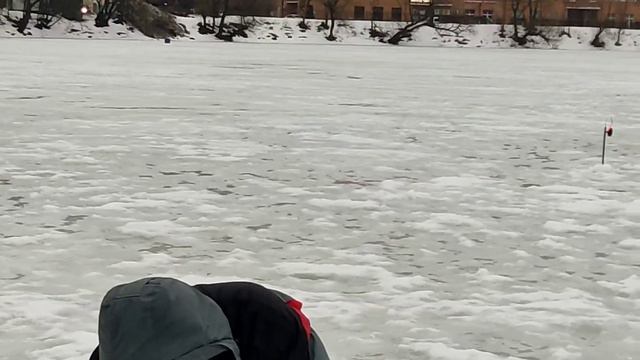 23.12.23 КРХ Белая Дача ,ОСНОВНОЙ водоём - клёв щуки ,карась рулит,отличная погода для хищника!Ждём смотреть онлайн