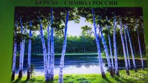 Занятие "Знакомство детей с березкой как символом России" для детей старшей группы