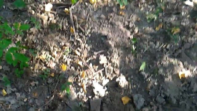 Тест на грунте фортуна м3 часть 2 смотреть онлайн