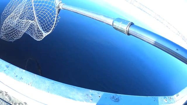 Рыбалка на Суходольском озере. смотреть онлайн