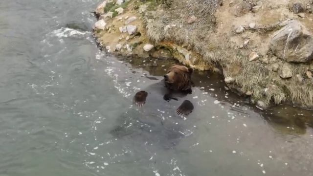 русские в джакузм