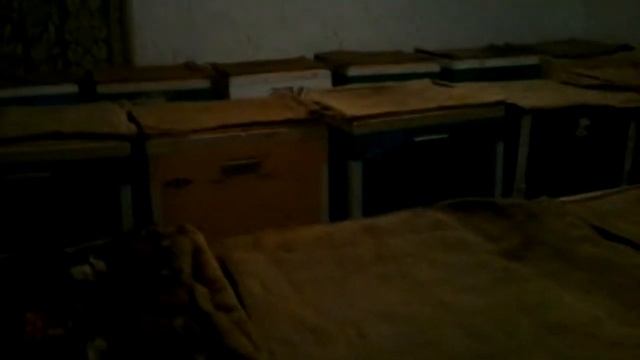 НА ЗИМНИЕ КВАРТИРЫ! Мой омшанник смотреть онлайн