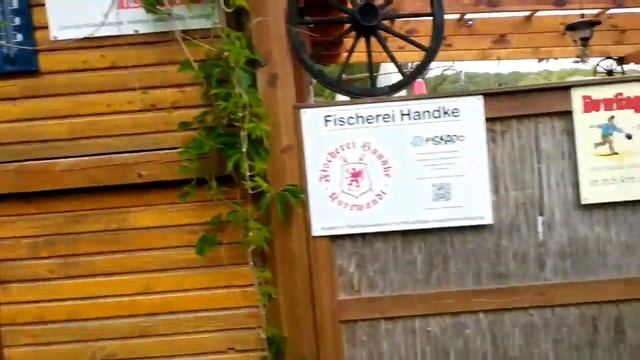 Свиноустье. Граница в лесу смотреть онлайн