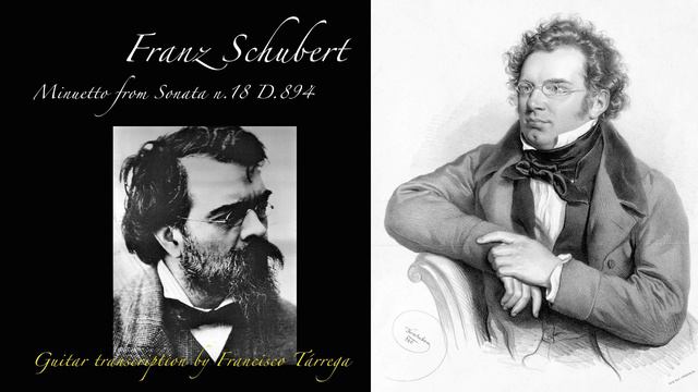 Franz Schubert - Minuetto from the Piano Sonata D.894 for guitar смотреть онлайн
