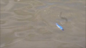 Джеркбейт Bubuka Tango 155