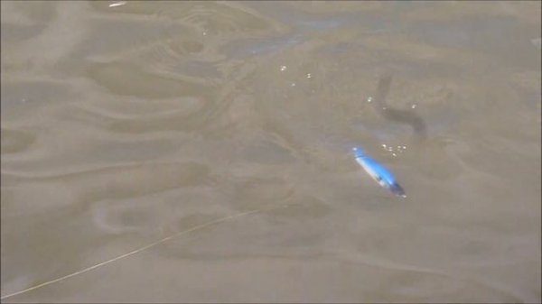 Джеркбейт Bubuka Tango 155