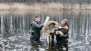 Постройка гнезд для дикой утки Ч.2