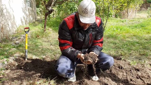 13 Выдергиваю корешки из земли (3).mp4 смотреть онлайн
