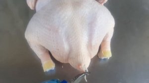 Перосъемная машина МТМ 600. Плюсы и минусы механического ощипа.