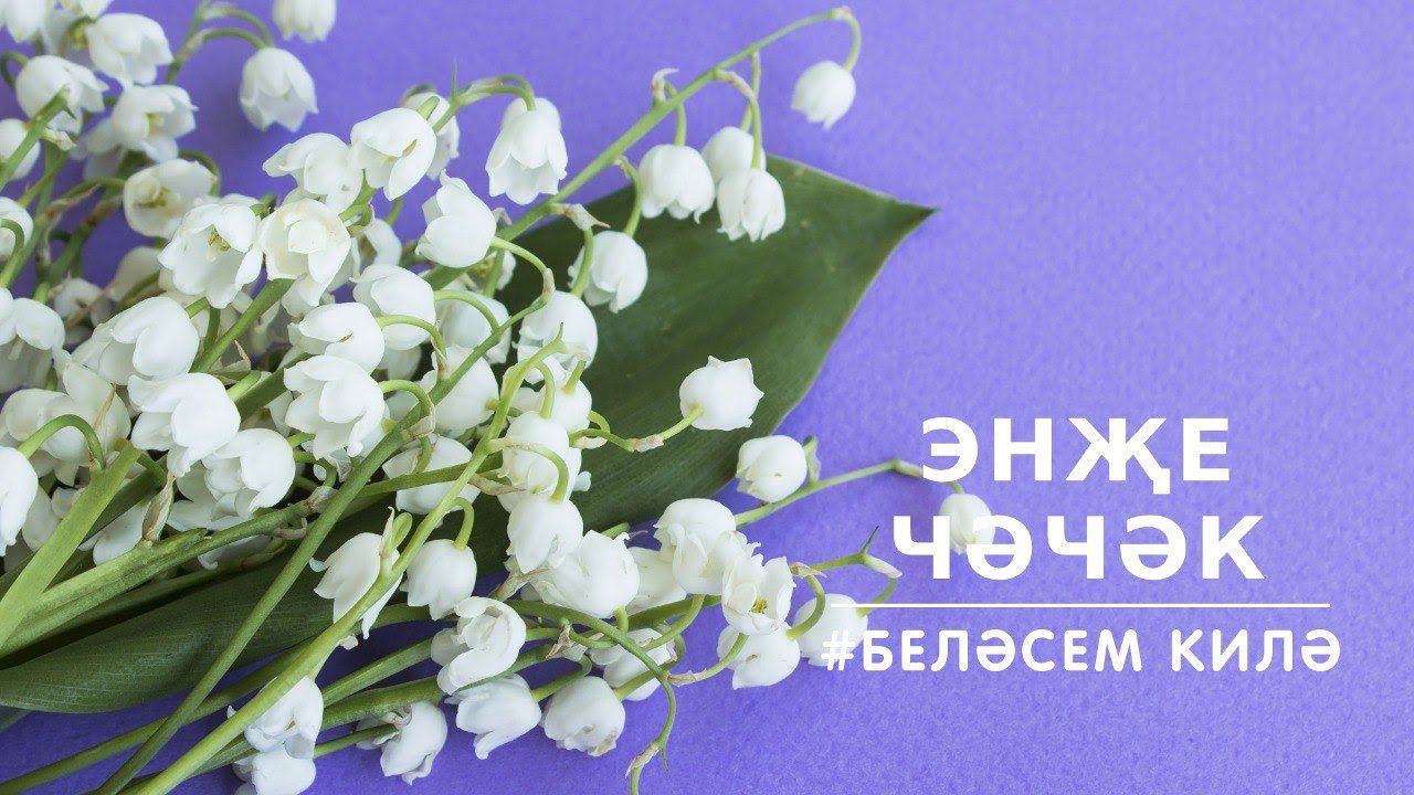 БЕЛӘСЕМ КИЛӘ: энҗе чәчәк / Ландыш / Lily of the valley смотреть онлайн
