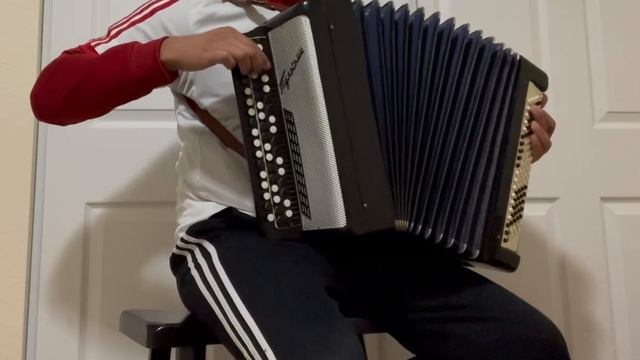 Zabrałaś Serce Moje (You Took My Heart) - Akordeon (Accordion) смотреть онлайн