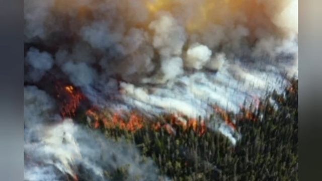Опомнимся, пока не поздно. смотреть онлайн