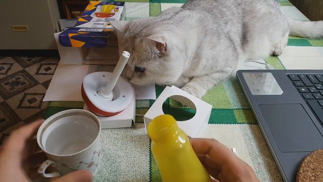 Увлажнитель воздуха PROFFI PH8755 смотреть онлайн