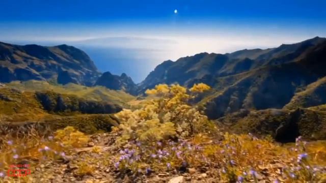 Ивушки Андрей Бандера смотреть онлайн