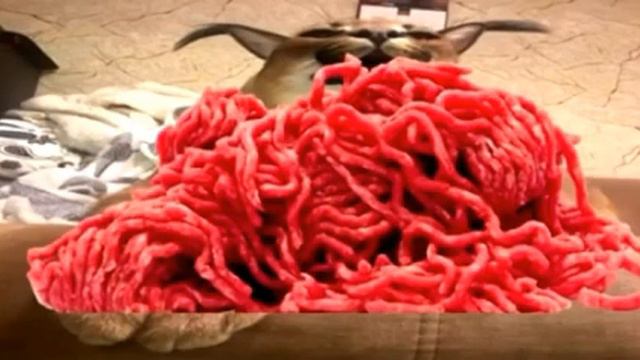 СЛИВ НОМЕРА ФРЕДЖА!!!! ЧЕК ОПИСАНИЕ смотреть онлайн