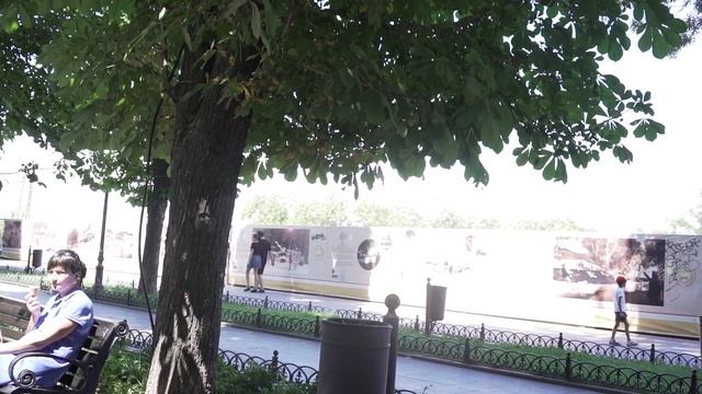 Rollei 25 ТЕСТ смотреть онлайн