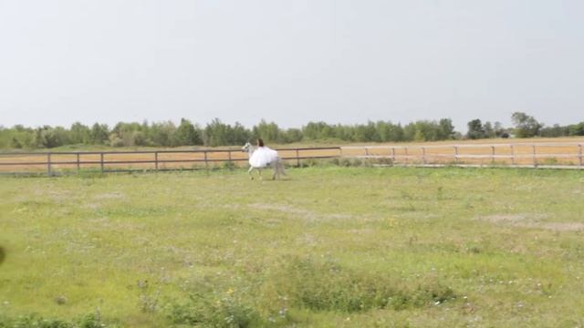Верховая езда на лошади в свадебном платье, любимое хобби) смотреть онлайн