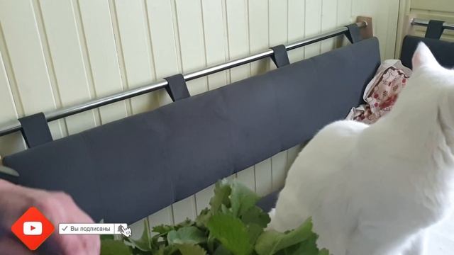 Что у нас ПРОИЗОШЛО на днях?  ПП-гостинец для РОДИТЕЛЕЙ ? | Новое ПРИОБРЕТЕНИЕ Wollmer J310