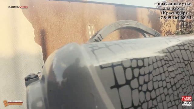 Подсадные утки.Ящик для перевозки.Лабрадор.Нагавка смотреть онлайн