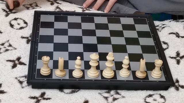 Учимся играть в шахматы. Урок 1 — Расстановка фигур смотреть онлайн